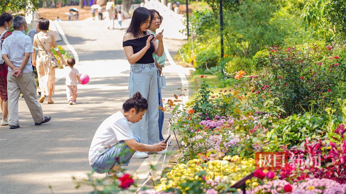 博乐手机游戏官网